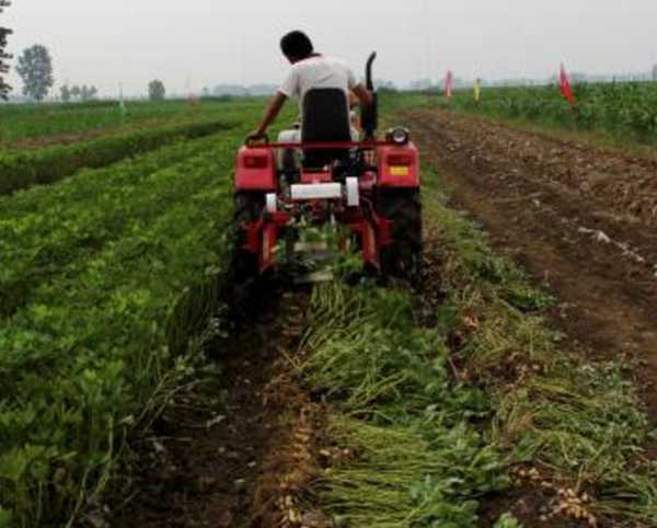 花生收獲機(jī)