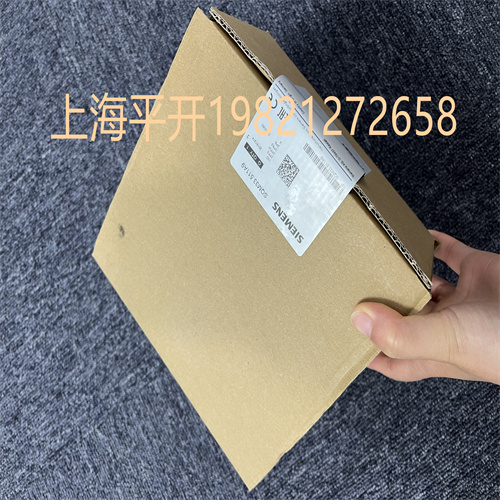 銷售西門子火焰控制裝置lfs1.21a2