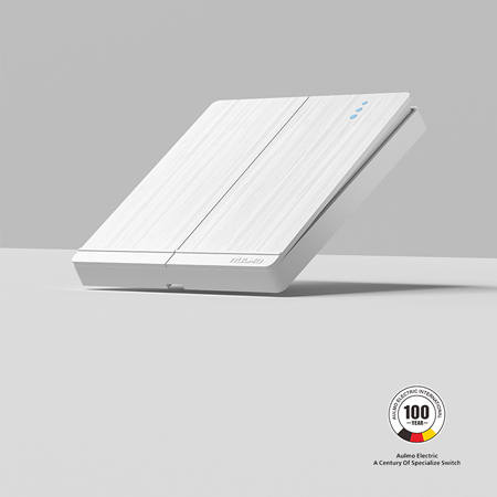 廠家供應 奧爾瑪 LG20 series型號開關(guān)