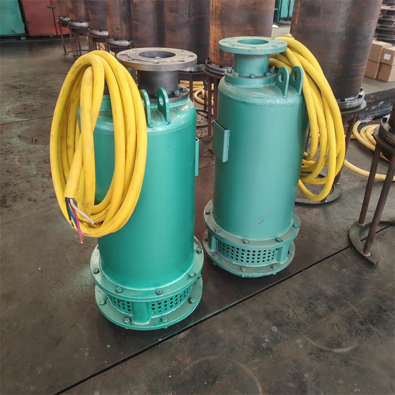 BQS礦用水泵排污排沙電泵三相電機大流量電泵