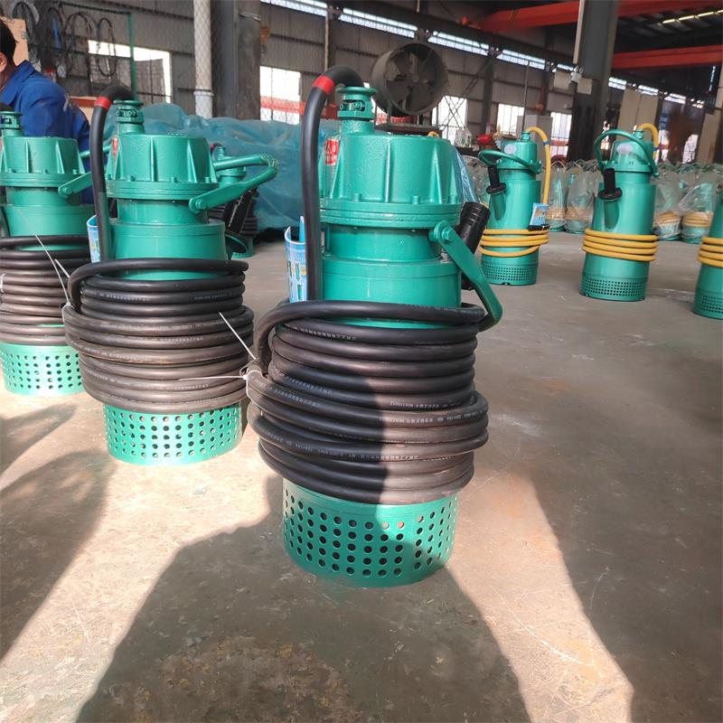 齊魯邦泰BQS50-15-4礦用隔爆型排污排沙潛水電泵