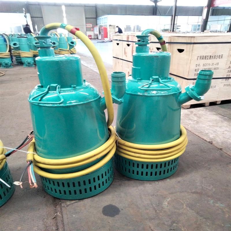 BQS礦用隔爆型排污排沙潛水電泵礦山搶險(xiǎn)排水泵三相電機(jī)IP*8防爆