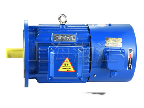 上海渤江機(jī)電供應(yīng)變頻電動(dòng)機(jī)
