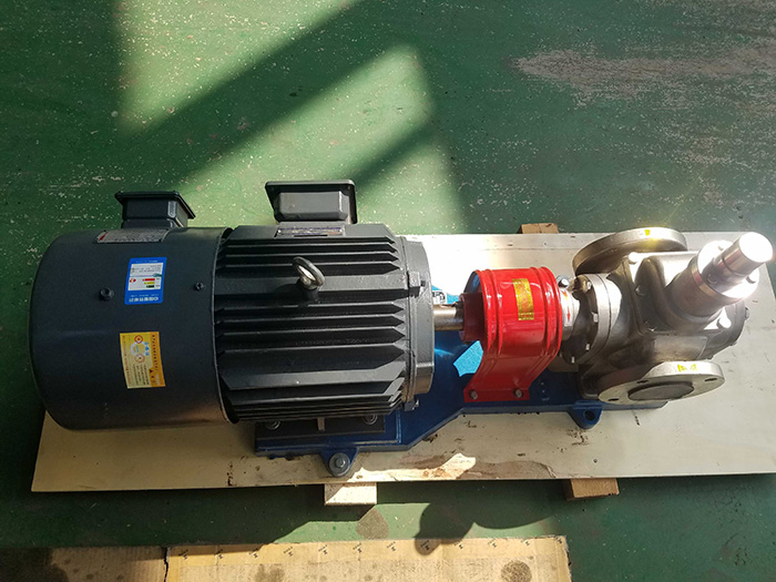 天一 雙螺桿泵 加工定制