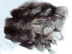 橋頭鉬絲回收/常平鉬棒回收