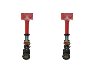 滄州鐵獅墻壁式水泵接合器