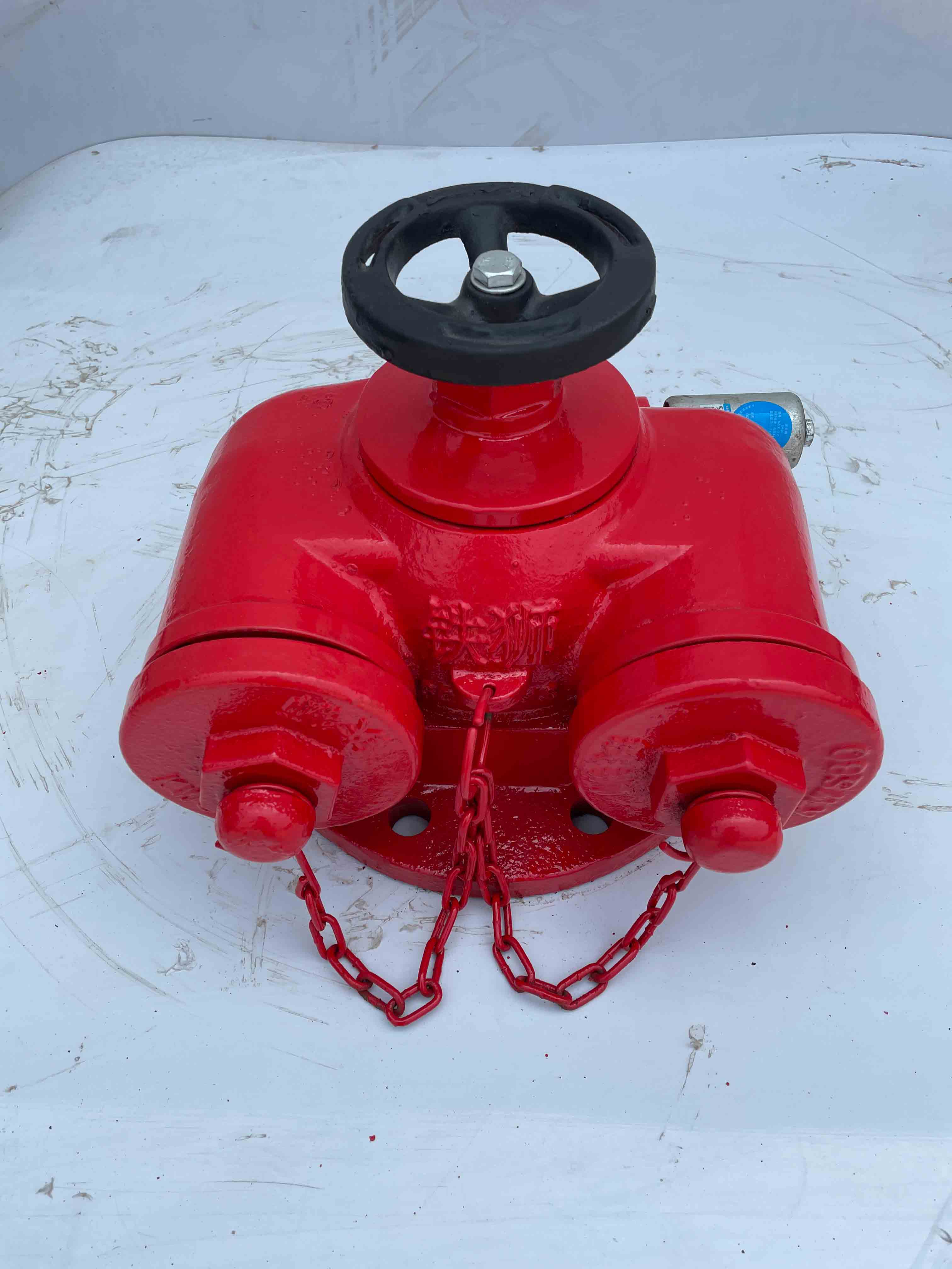 滄州鐵獅 多功能水泵接合器 按需定制