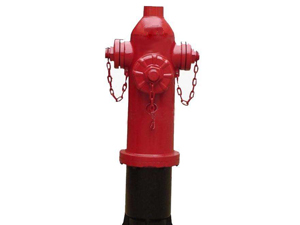 泡沫消火栓    滄州鐵獅消防   定制供應(yīng)