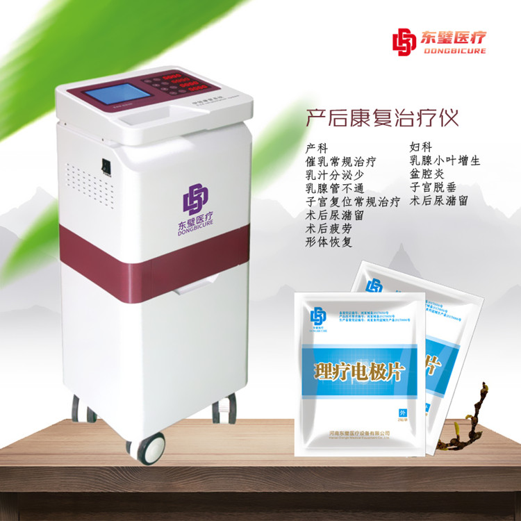 產(chǎn)后康復(fù)綜合治療儀
