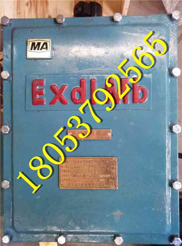 隔爆型電動(dòng)轉(zhuǎn)轍機(jī)專業(yè)技術(shù)生產(chǎn)廠家高平