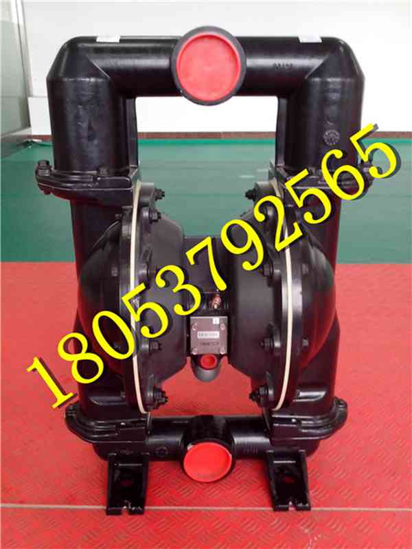 多種型號氣動隔膜泵實力廠家可用在哪里