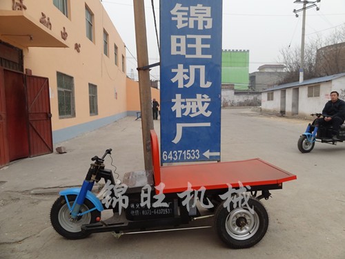 1000w驅(qū)動電機電動平板三輪車