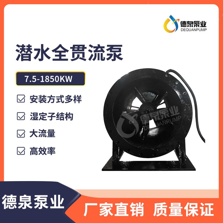 大口徑全貫流泵|全貫流泵結(jié)構(gòu)|濕式貫流泵供應(yīng)商|德泉泵業(yè)