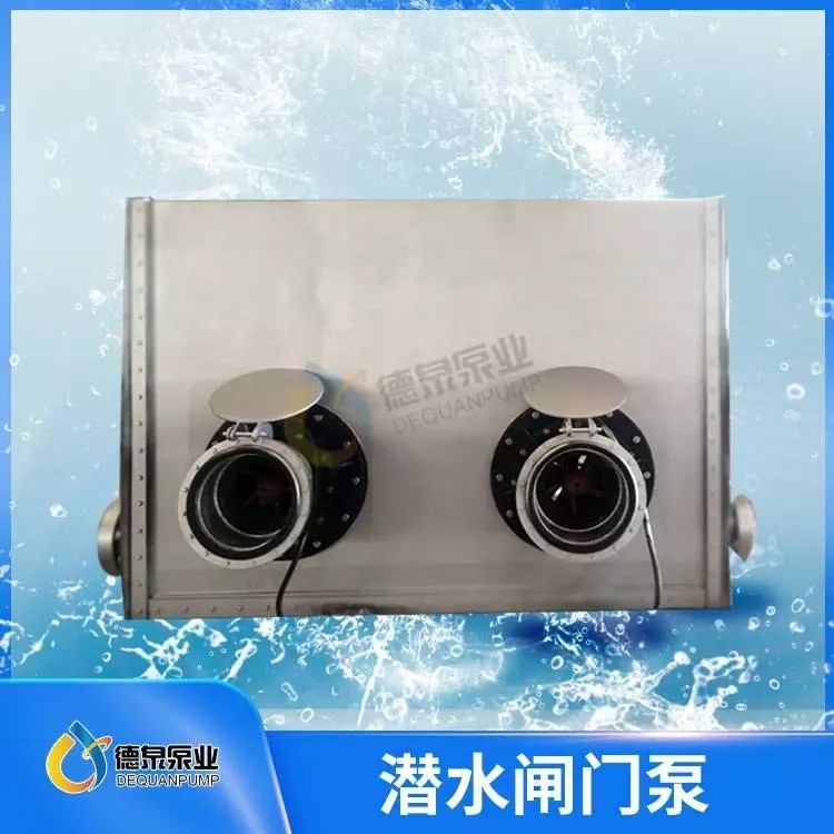 泵閘一體化設(shè)備_全貫流潛水閘門泵_閘門泵選型報價