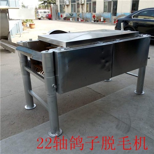 22軸鴿子臥式脫毛機(jī)
