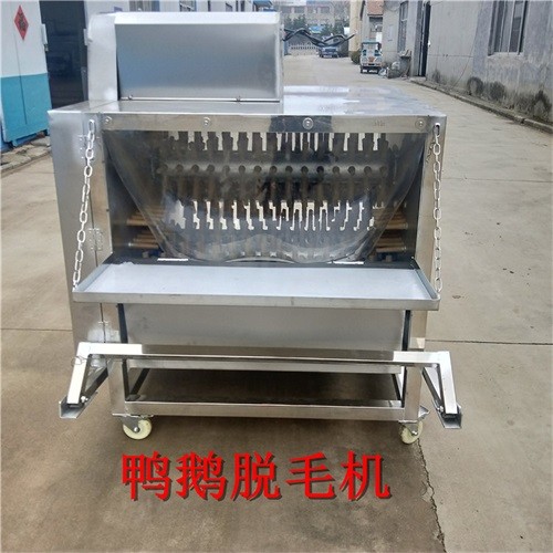 宏強(qiáng)大七軸鴨鵝脫毛機(jī)