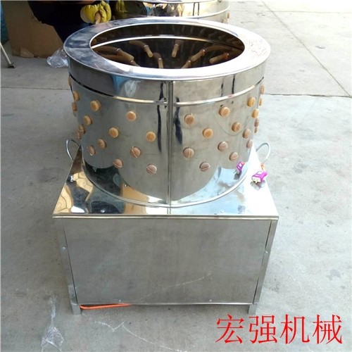 市場(chǎng)用小型雞脫毛機(jī)