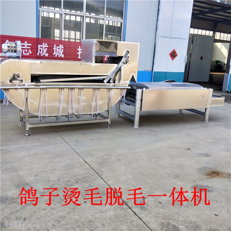 宏強(qiáng)鴿子燙毛脫毛一體機(jī)