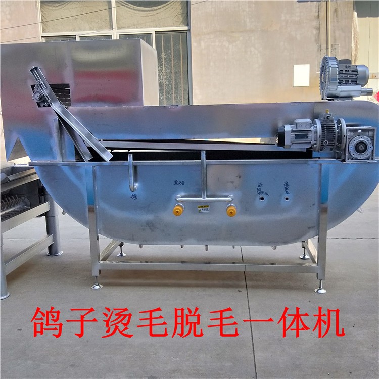 鴿子船式燙毛脫毛一體機(jī)