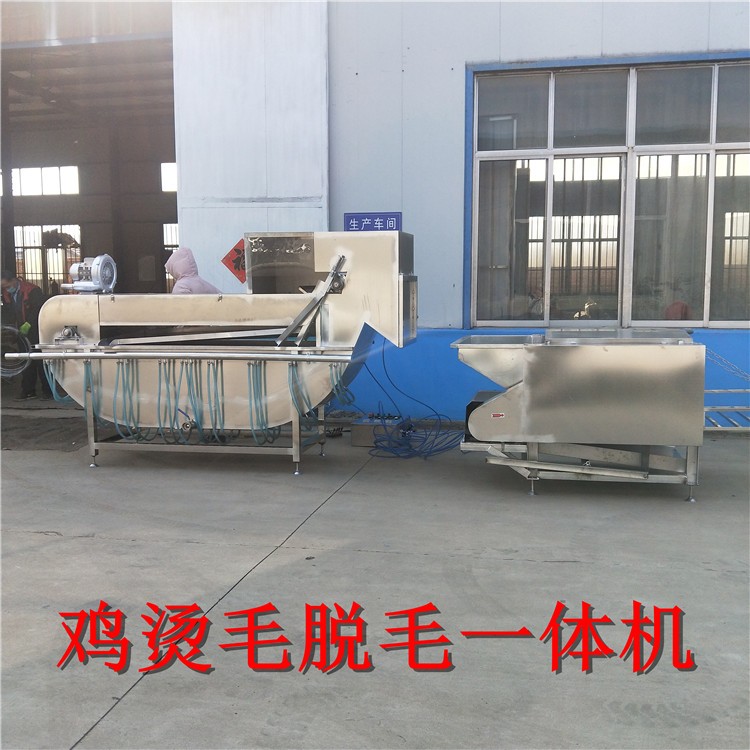 雞用船式燙毛脫毛一體機(jī)