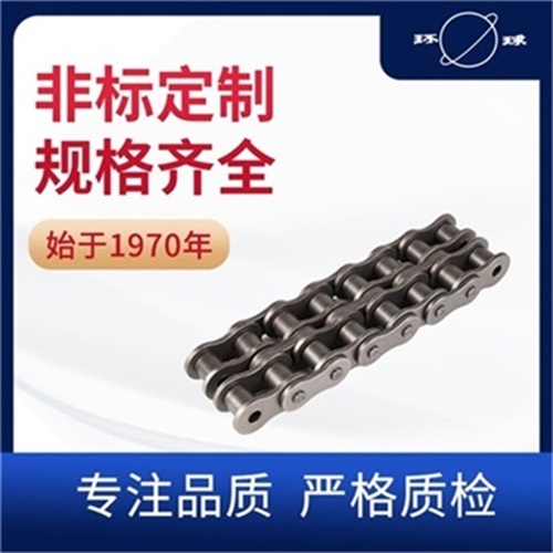 100-2鏈條 A系列短節(jié)距精密滾子鏈 傳動(dòng)鏈