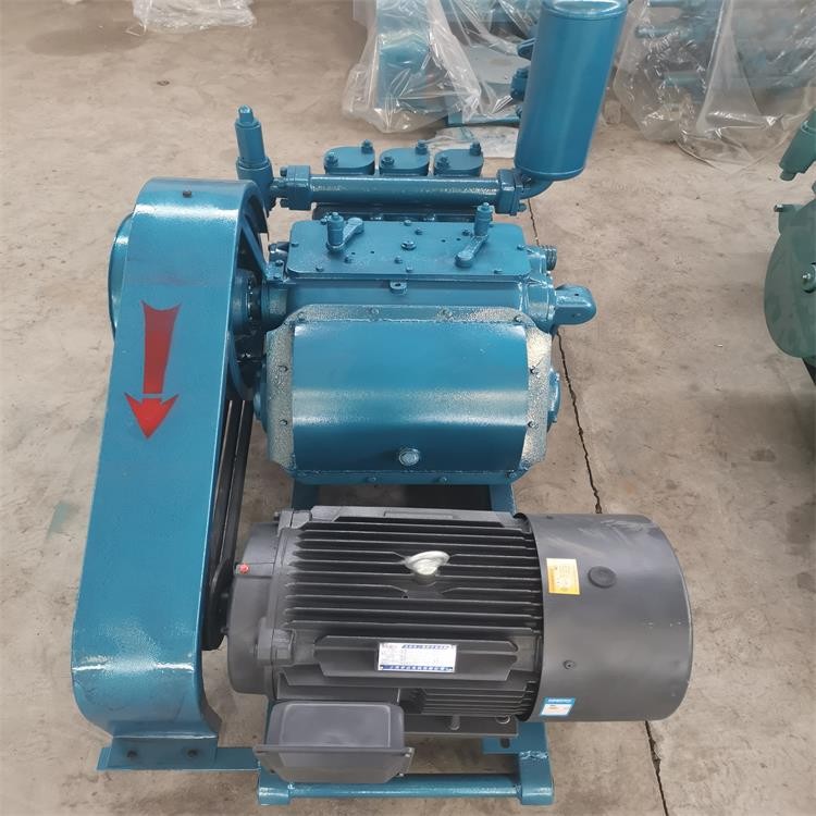 容積式BW450/5泥漿泵施工指導(dǎo) 鉆機(jī)清水泵