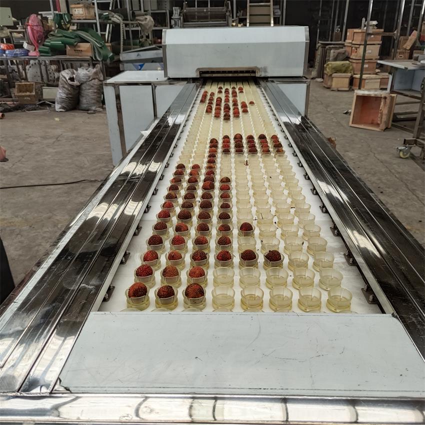 河北荔枝去核機 大型去核設備定制 水果去核加工機器 荔枝去芯機