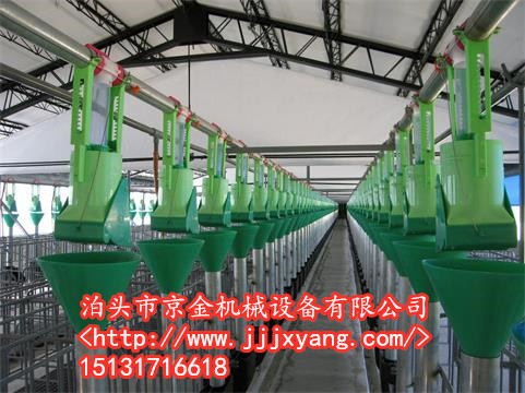 吉安大型豬廠自動(dòng)喂料線1 1設(shè)計(jì)