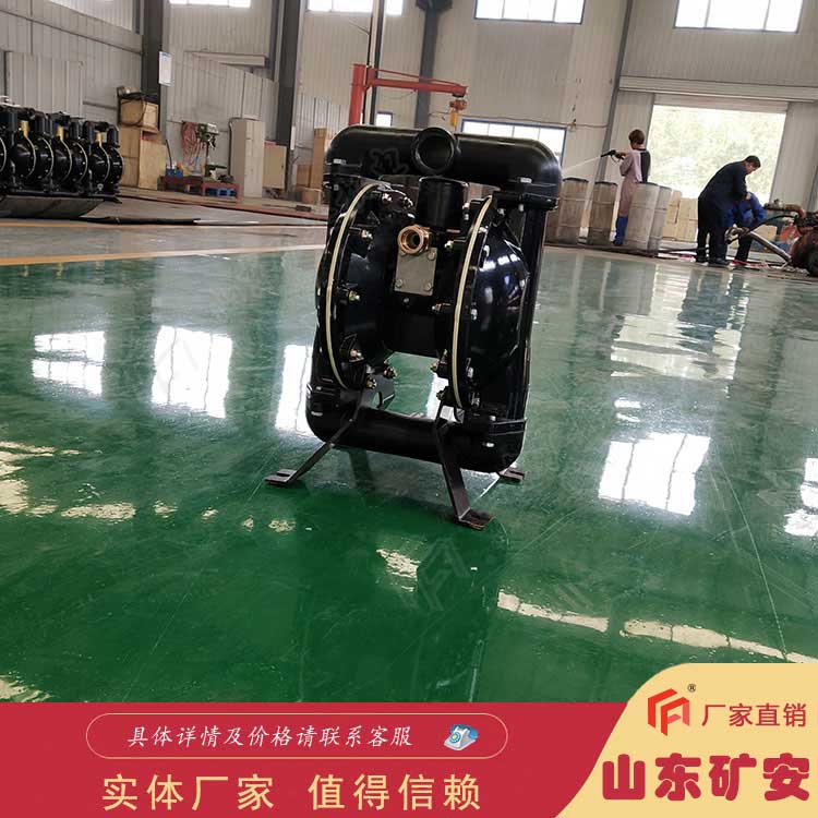 BQG450/0.2氣動(dòng)隔膜泵大流量風(fēng)動(dòng)泵