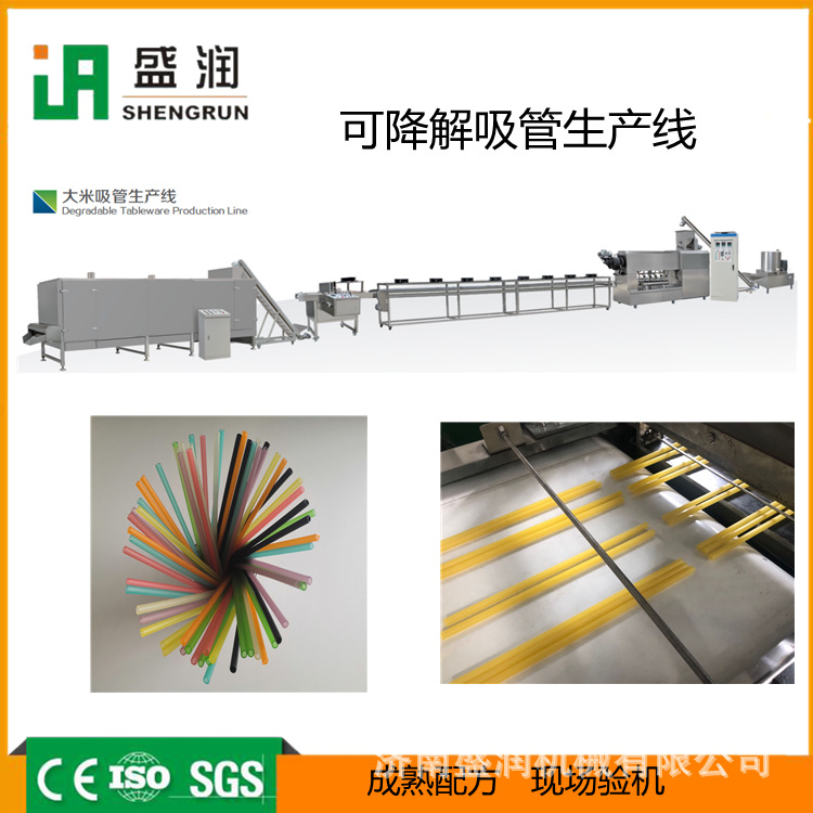 盛潤(rùn)機(jī)械DLG-100大米吸管膨化機(jī)