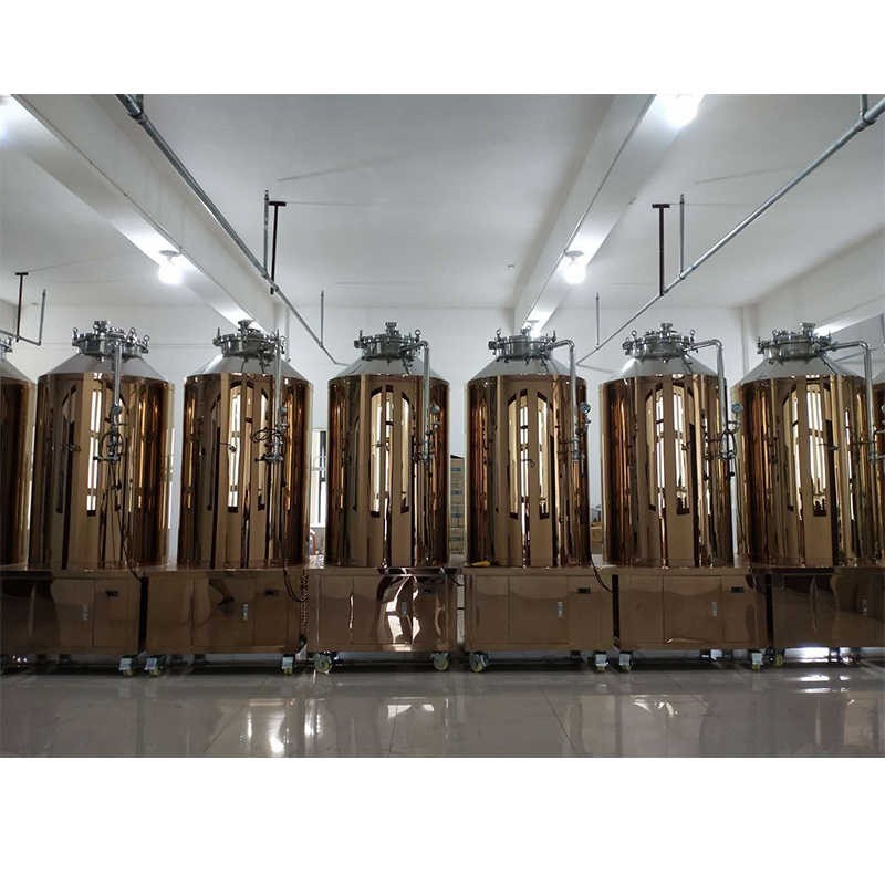啤酒機(jī)械設(shè)備  500升啤酒設(shè)備