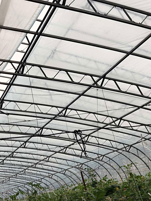 120型雙膜骨架種植大棚