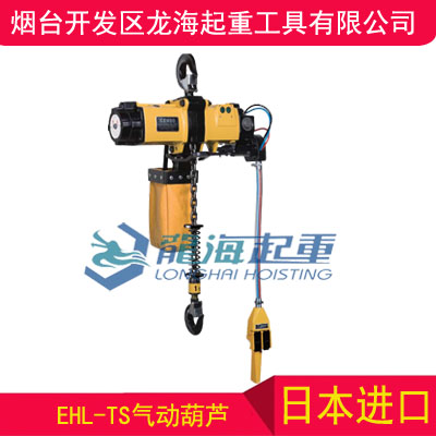 16噸海油船氣動(dòng)葫蘆生產(chǎn),遠(yuǎn)藤EHL-TS氣動(dòng)葫蘆無(wú)假貨