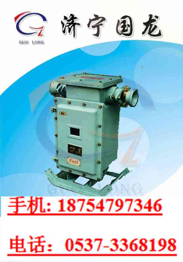 礦用防爆電度表箱 DBB200電度表箱