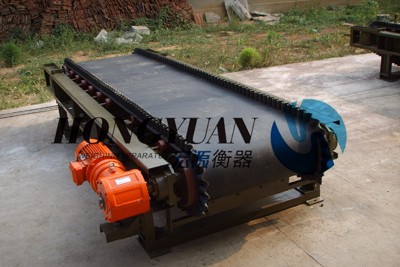 廠家直銷計(jì)量皮帶秤-散裝物料定量給料皮帶秤-自動(dòng)皮帶給料配料秤