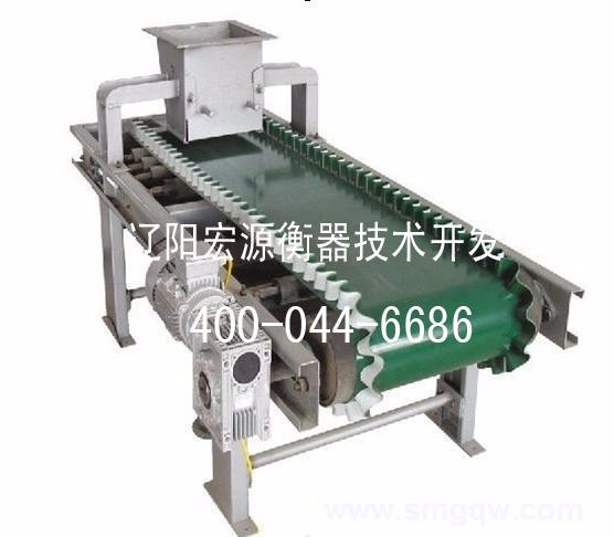 宏源衡器通過式高精度煤炭專用皮帶秤