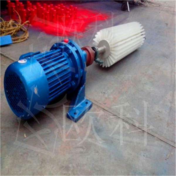 螺旋式清掃器 皮帶機(jī)刷式清掃器 被動(dòng)式滾刷清掃器