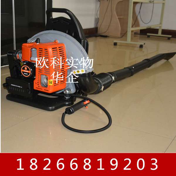 路面灌封用吹風(fēng)機(jī) 風(fēng)力滅火機(jī) 道路清理吹風(fēng)機(jī)