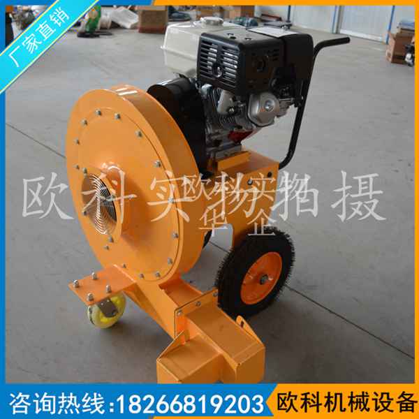 手推式路面吹風(fēng)機(jī)  內(nèi)燃馬路吹風(fēng)機(jī) 手推路面吹風(fēng)機(jī)