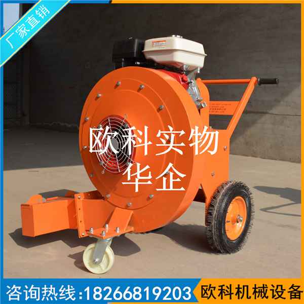 路面清掃吹風(fēng)機(jī) 落葉清掃吹風(fēng)機(jī) 內(nèi)燃手推式吹風(fēng)機(jī)