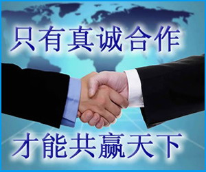 青島飛燕物流有限公司