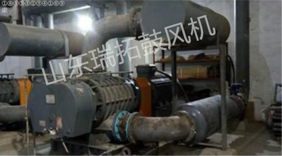 羅茨風(fēng)機(jī)污水處理批發(fā)價(jià)格,羅茨風(fēng)機(jī)污水處理采購(gòu)