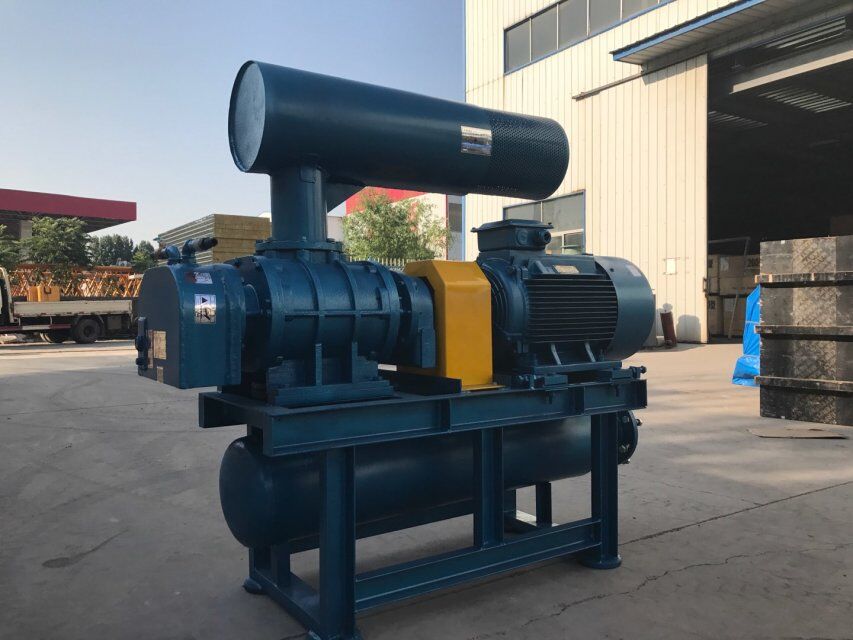 高效節(jié)能密集型羅茨鼓風(fēng)機(jī)專(zhuān)業(yè)生產(chǎn)廠(chǎng)家