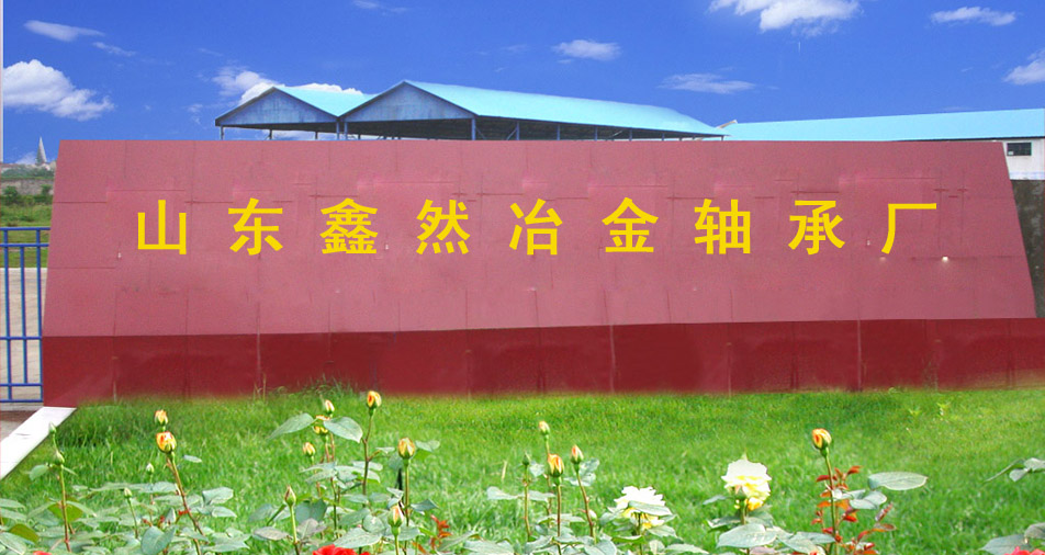 臨清市鑫然軸承有限公司