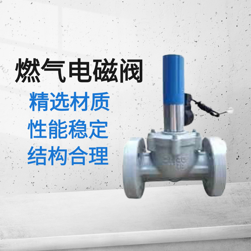 燃?xì)鈭?bào)警器配套用安全切斷閥