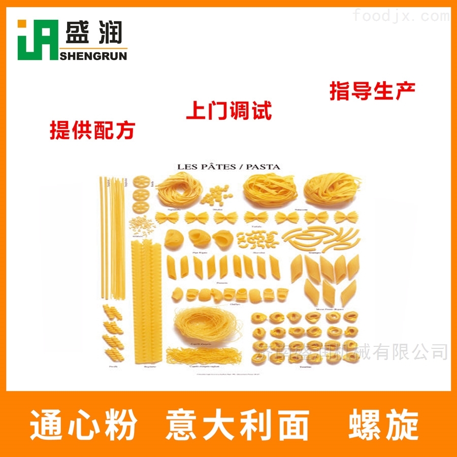 濟(jì)南意大利面機(jī)器通心粉單螺桿100設(shè)備膨化機(jī)機(jī)械