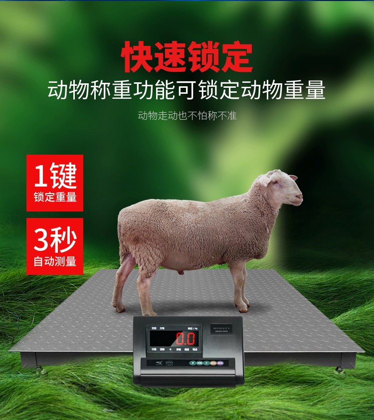 電子地磅秤畜牧秤牛秤豬3噸5噸電子秤儀表顯示器帶圍欄電子地磅