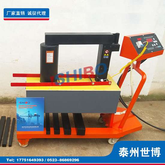 泰州世博軸承加熱器SPH-100D