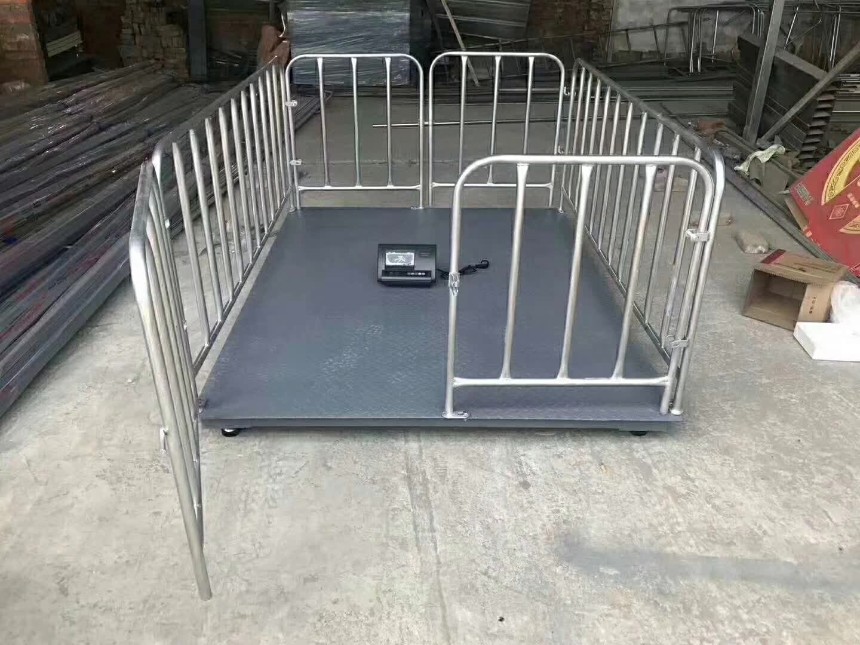 稱豬帶圍欄防抖地磅