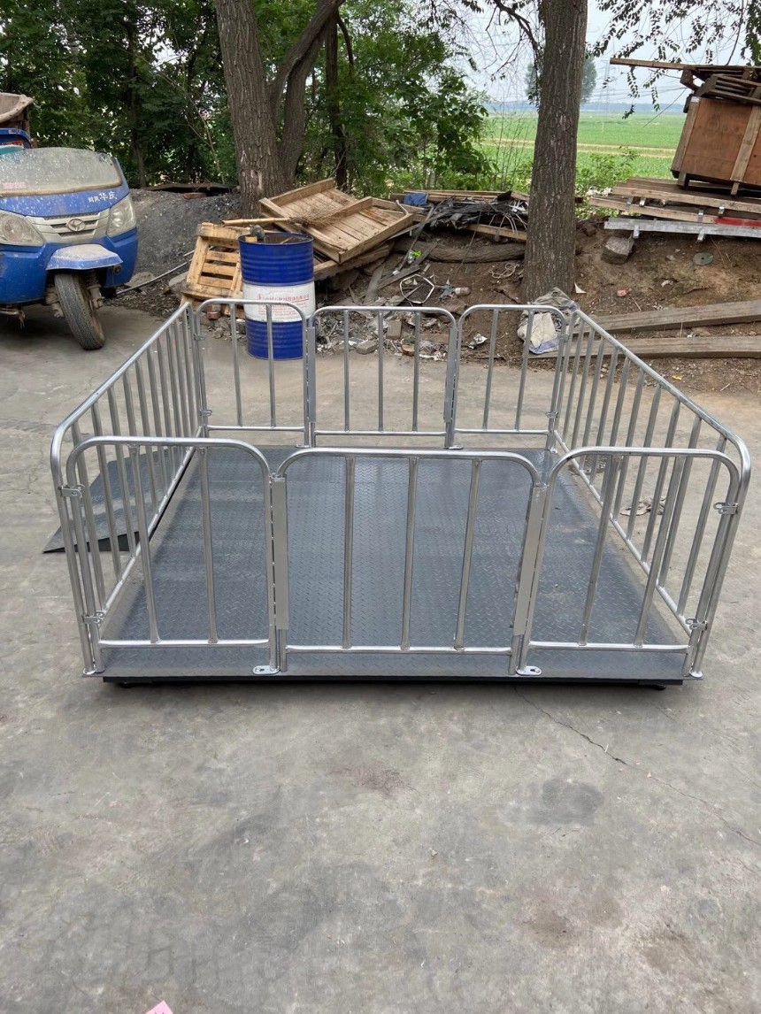 豬用地磅 養(yǎng)殖地磅秤 電子地磅